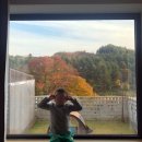 오캄럭스클럽H | [강원도] 홍천 오캄럭스클럽1박2일 가을여행(바베큐/캠핑)