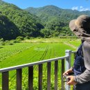 거창-주상-7 이미지