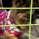 종로-신교-종로-신-267 | 서촌 브런치 카페 <레스피레>