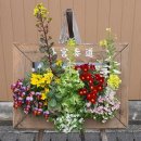 외궁 | 이세 신궁] 이세신궁 내궁 | 외궁 | 일본 소도시 여행...주변 | 미에현 여행 | 리뷰 | 방문기 | 후기