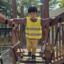 [세인어린이집 빨강반] 노해 어린이공원에 다녀왔어요~ 이미지