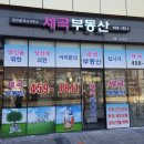 세곡바로공인중개사사무소 이미지