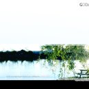 컴닷컴 - 안산시 단원구 적금로 63 | 컴닷컴
