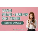 대신스마일치과의원 이미지