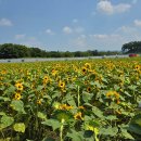 씨유무의점 이미지