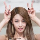 또치 Daum카페