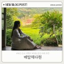 하동경찰서 | 부산 근교 여행지 추천 – 하동 매암제다원 감성 카페 &amp; 재첩모듬정식 만지횟집 후기