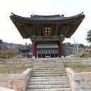 연흥사 | 연흥사 동백