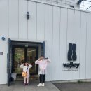 밸리인밸리 | 용인 양지 카페 인더밸리 애견동반 아이들과 내돈내산 후기