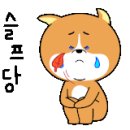 346펜션 이미지