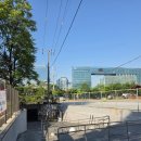 (주)태용 | 태용.음중 사녹후기.르세라핌 공개팬미팅