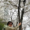 웃음꽃목장 이미지