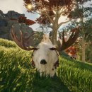 펫파트너 주식회사 이미지