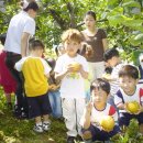 말미농장 이미지