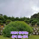 금송목장 이미지