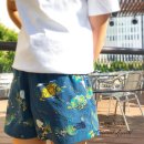일본 오리지널 노스페이스 버서틸 팬츠 ( north face versatile short.) 이미지