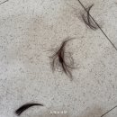서면 여자 미용실 메인헤어위그 전포 미용실 클리닉 케어