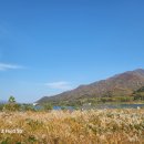 어울림의 스포츠, 파크골프 이미지