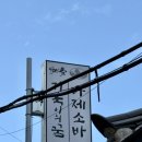 거북이의 꿈 | 서울 서촌 맛집_ 혼밥하기 좋은 카이센 마제소바 맛집 거북이의꿈