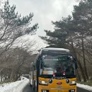 버스