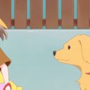 하모리-34 이미지