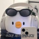 w10. 클래식한 무드 위에 트렌드 한 방울 | 올포유스냅 계약후기