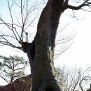 모산3 티스토리