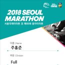 2018서울국제마라톤대회 참가기 이미지