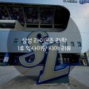 삼성라이온즈⚾️라팍직관후기 1루익사이팅시야 삼성 기아 맹수대전🦁