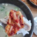 수제보배왕만두 | 창원맛집 상남동 점심 교동닭칼국수 창원상남점 내돈내산