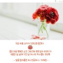 오팡 이미지