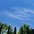 로드엠펜션 가족&단체&커플 이미지