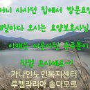 루첼라리아 이미지