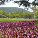 수목원 서한 아보르 아파트의 가치와 대구 부동산시장. 이미지