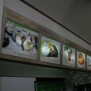 가리미김밥거두점 이미지