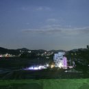 신애견