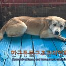 강서구-49 이미지