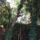 화북진지 이미지