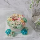 롤리 앤 폴리 이미지