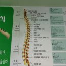 둥근힘 프롭운동 이미지