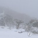 한라산모텔 이미지