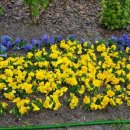 정부세종청사 옥상 정원길 이미지