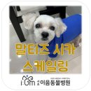 서초이음동물병원 이미지