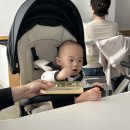 차니카 | 차니의 새로운 유모카 에이블코지쉘 휴대용유모차 트라이크♥️