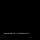APEX(에이펙스) 이미지