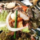 육덕돼지 이미지