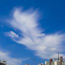 구름이네 이미지