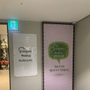 파라팜 | 더베뉴지 홀패키지 파라팜 본식 드레스 셀렉 후기