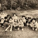 푸른숲 어린이집 이미지