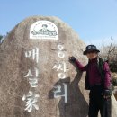 광양 매화축제. 방문기 이미지